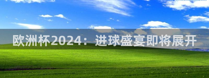 欧洲杯投注入口官网：欧洲杯2024：进球盛宴即将展开