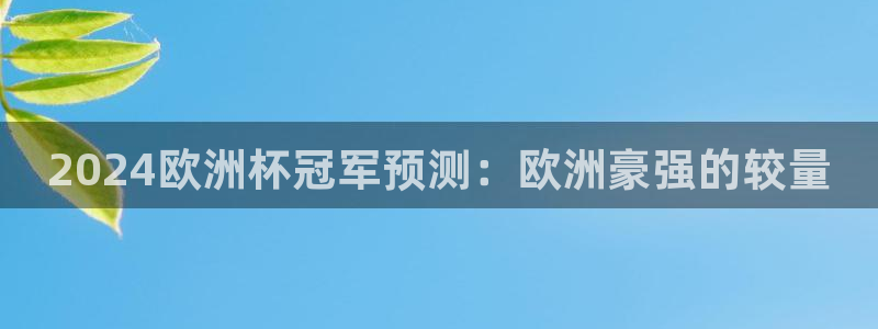 欧洲杯决赛彩票网上购买|2024欧洲杯冠军预测：欧洲豪强的较量