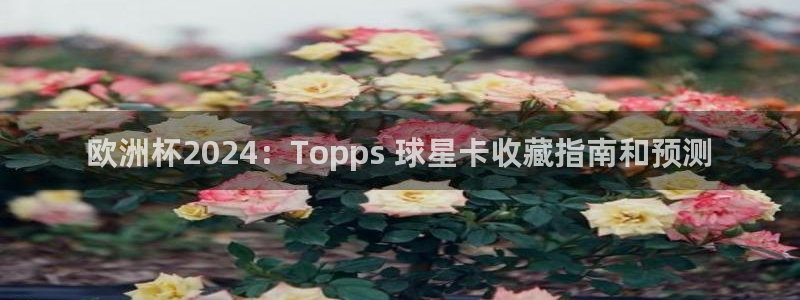 欧洲杯下单平台官网|欧洲杯2024：Topps 球星卡收藏指南和预测