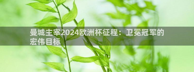 欧洲杯押注怎么买|曼城主宰2024欧洲杯征程：卫冕冠军的
宏伟目标