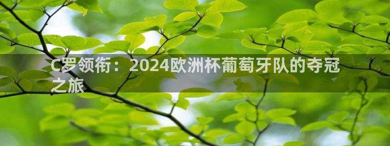 欧洲杯2024下单