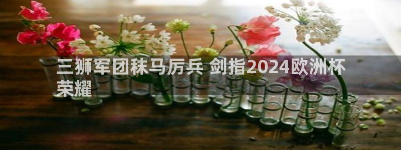 2024欧洲杯买竞猜