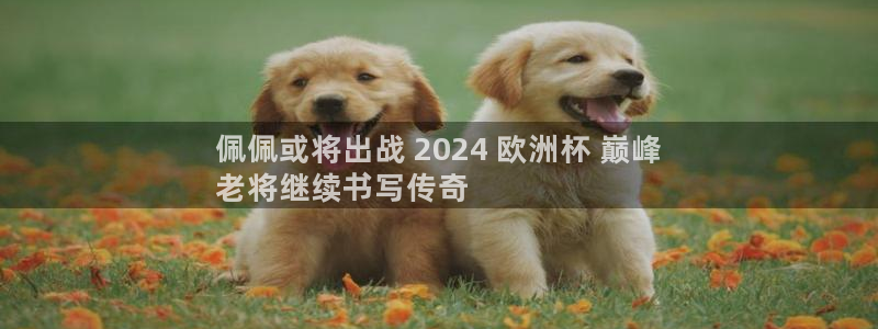 网上哪个平台可以买足球|佩佩或将出战 2024 欧洲杯 巅峰
老将继续书写传奇