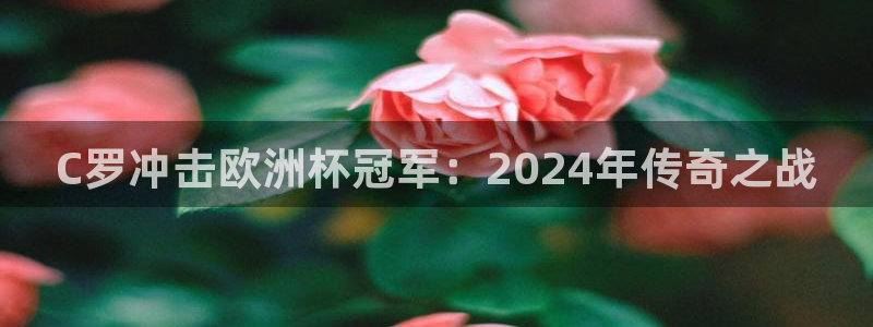 welcome欧洲杯开户|C罗冲击欧洲杯冠军：2024年传奇之战