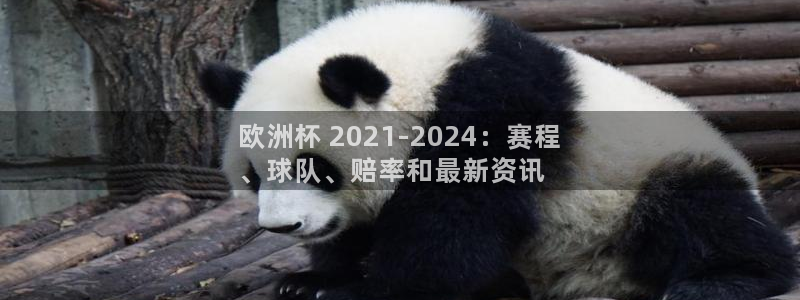 2024欧洲杯买球手机版